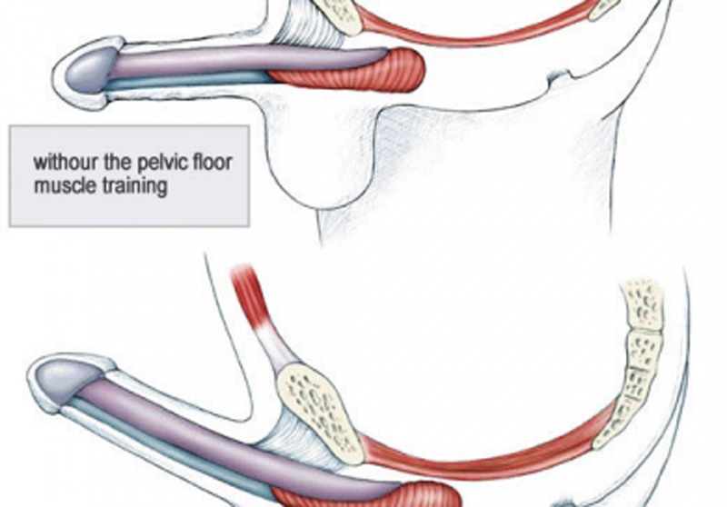 may-tap-lam-to-va-keo-dai-duong-vat-5